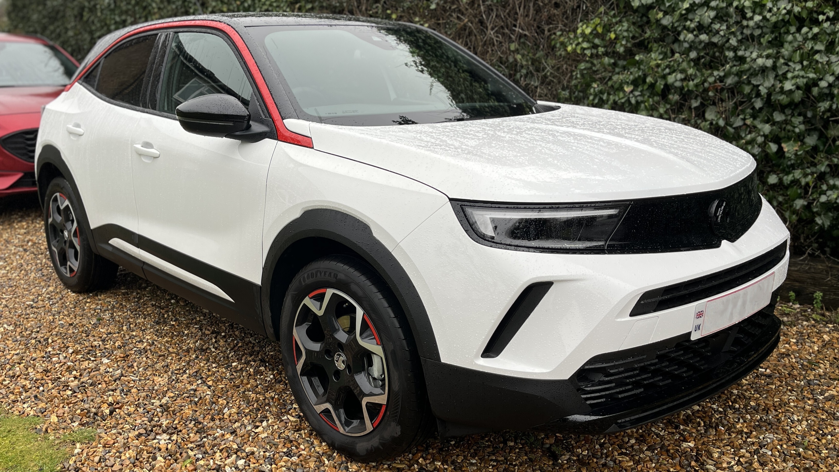 Mokka B